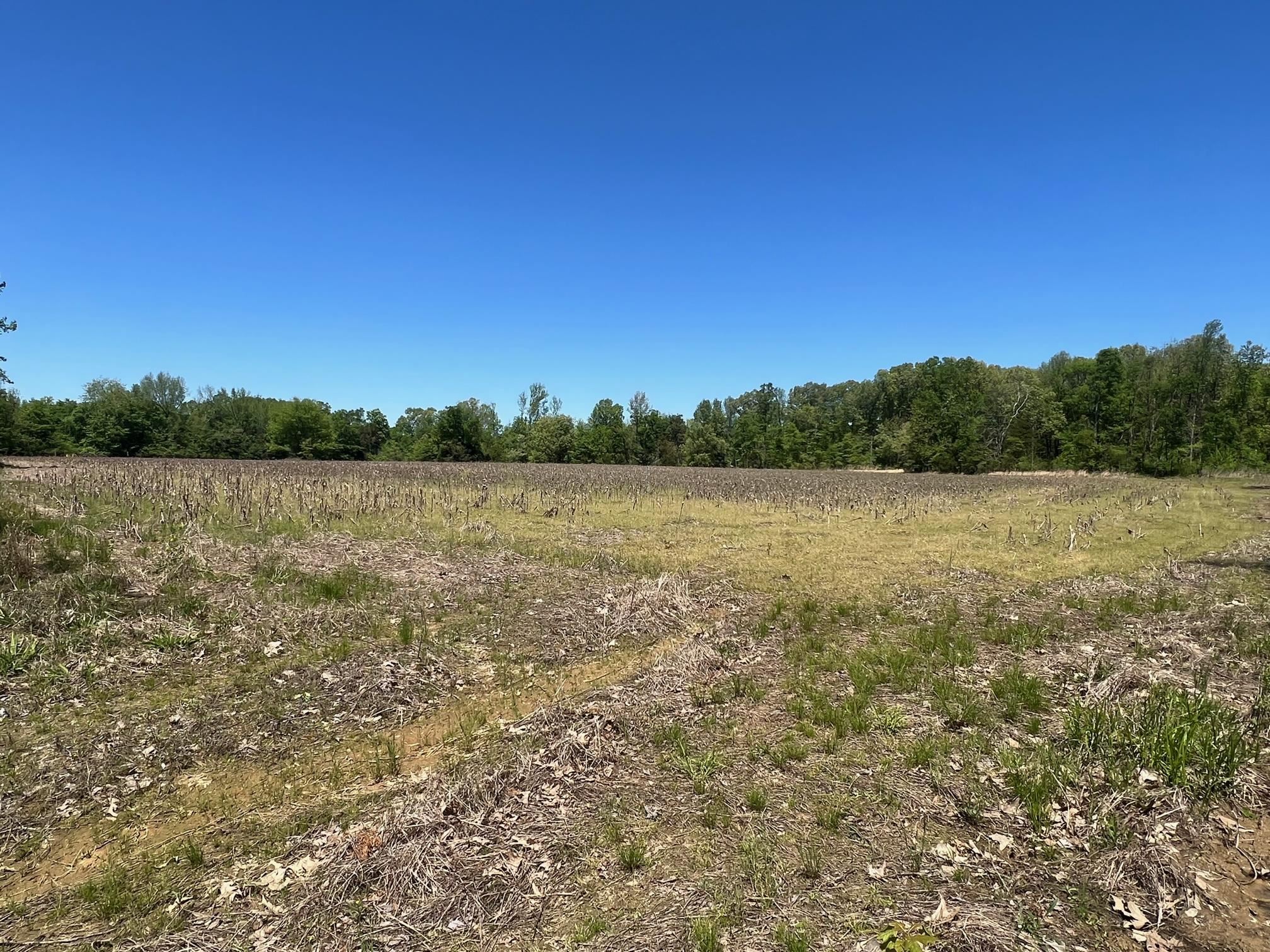 27 ACRES SYCAMORE RD