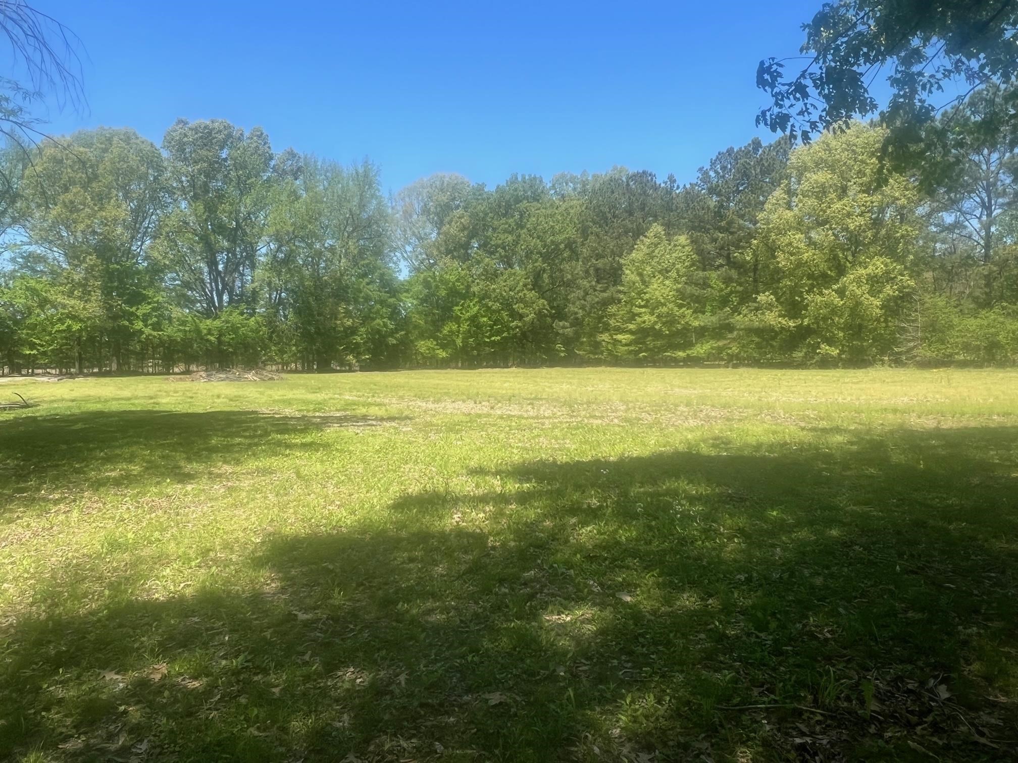 27 ACRES SYCAMORE RD