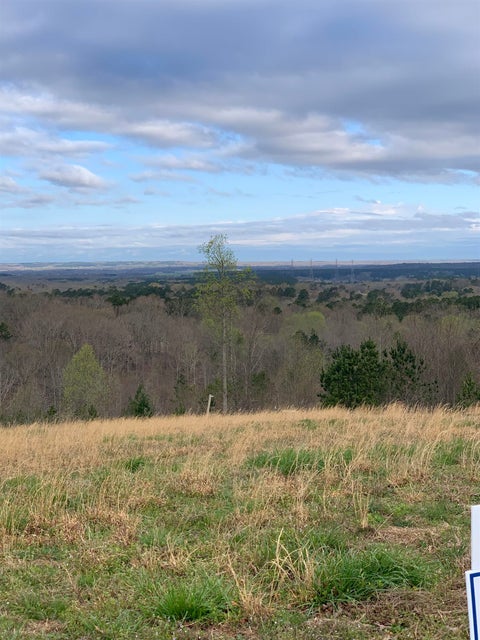 Photo of TURKEY KNOB RD, Counce, TN 38326 (MLS # 10228642)