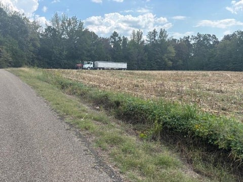 Photo of 0 PEAVINE RD RD, Middleton, TN 38052 (MLS # 10207861)