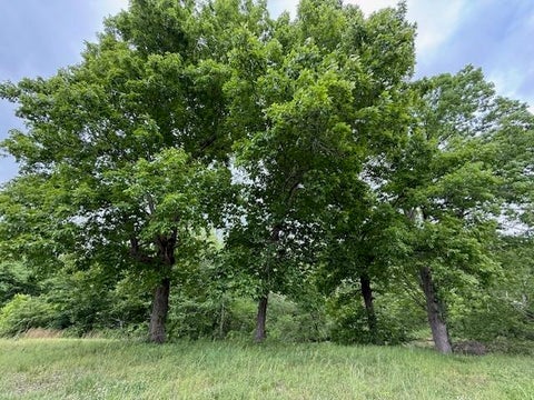 Photo of 0 OLD HWY 72 HWY, Ashland, MS 38603 (MLS # 10220847)