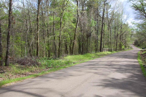 Photo of 780 BREEDLOVE RD, Michigan City, MS 38647 (MLS # 10220105)