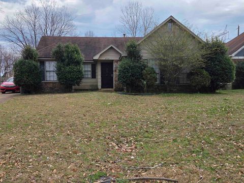 Photo of 4466 FAWN HOLLOW CV, Memphis, TN 38141 (MLS # 10218135)