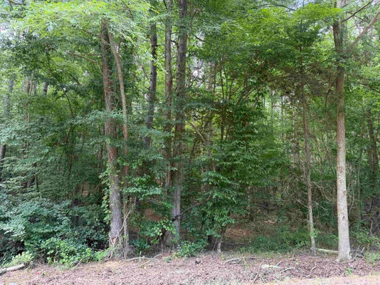 9 ROSE CREEK RD, SELMER, TN 38375 - Image 6681eca326ba56daa4e89cad236e7d36/87318743