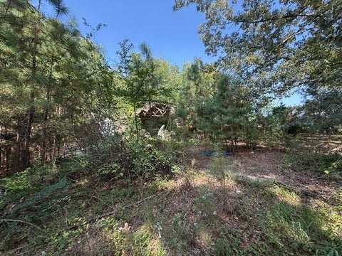 Photo of 6555 RABBIT CREEK RD, Buchanan, TN 38222 (MLS # 10228836)