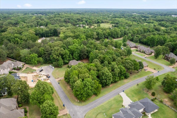 70 GROVE PARK DR, COLLIERVILLE, TN 38017 - Image 672653cb2f9f7ae2eaec5fb463e5cce8/813030831