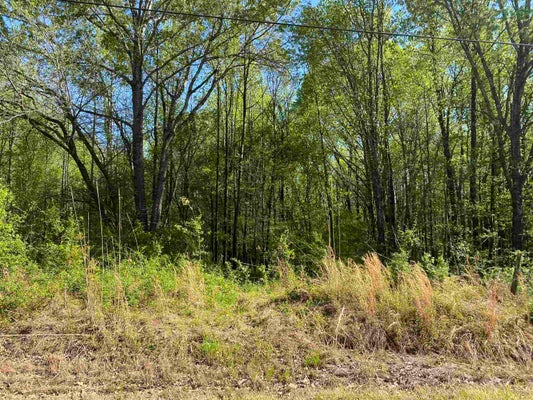 1.26 ACRES 193 HWY, ROSSVILLE, TN 38066 - Image 6841e6bb8d08f2166dd0c06ef4c8486e/1604879274