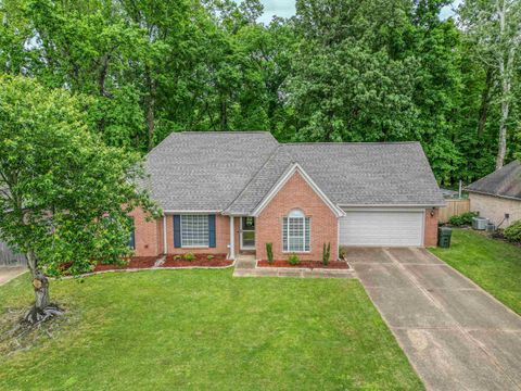 Single Family Residence in Bartlett TN 3284 DON VALLEY DR.jpg