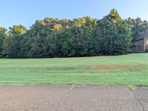Photo of 11888 STABLE VIEW DR Lot 20 #Lot 20, Eads, TN 38028 (MLS # 10227225)