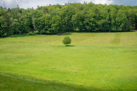 Photo of 11888 STABLE VIEW DR Lot 20 #Lot 20, Eads, TN 38028 (MLS # 10227225)