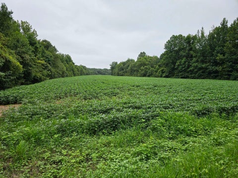 Photo of HWY 125 HWY, Henderson, TN 38340 (MLS # 10179487)