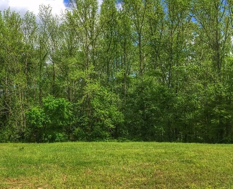 Photo of 220 RIDGECREST DR, Arlington, TN 38002 (MLS # 10230512)