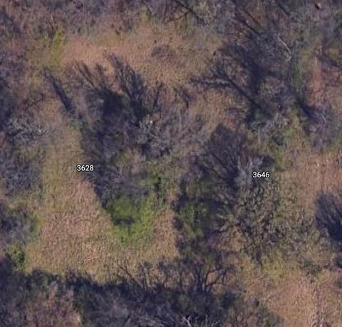 Photo of 3628 DEMOCRAT RD, Memphis, TN 38118 (MLS # 10197612)