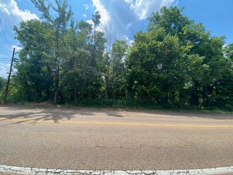 Photo of HWY 18 HWY, Medon, TN 38356 (MLS # 10221994)