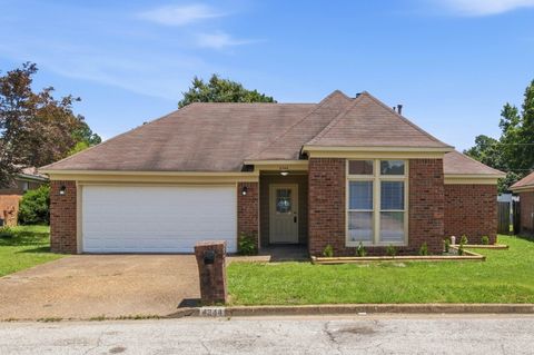Photo of 4344 SNOWMASS LN, Memphis, TN 38141 (MLS # 10223982)