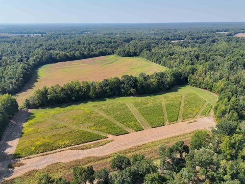 Photo of 00 ESTONALLIE RD, Mercer, TN 38392 (MLS # 10230300)