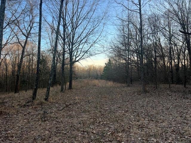 261 AC. MACON RD