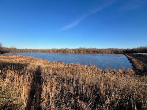 Photo of 261 AC. MACON RD, Unicorp/Eads, TN 38028 (MLS # 10226684)