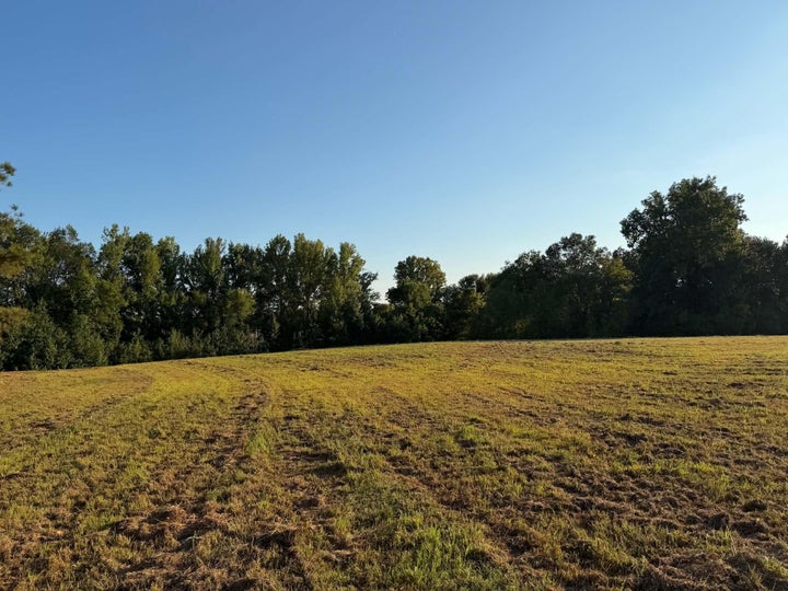 Photo 1 of 4 — 2380 WATKINS DR, Williston, TN 38076