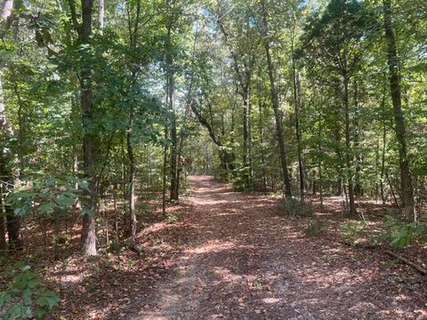Photo of 00 HANNIS RD, Bolivar, TN 38008 (MLS # 10230297)