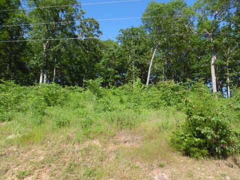 Photo of 83-85 ADAM LOOP, Bath Springs, TN 38311 (MLS # 10191612)