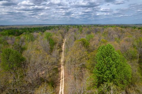 Photo of 735 BEAVER CANAL LN, Huntingdon, TN 38344 (MLS # 10222195)