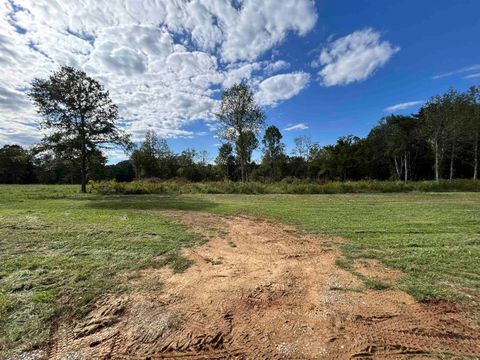Photo of LOT 36 CORDOVA CV, Savannah, TN 38372 (MLS # 10223555)