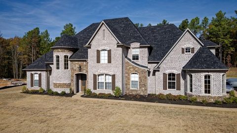 Photo of 11282 VICKI'S LN, Olive Branch, MS 38654 (MLS # 10210798)