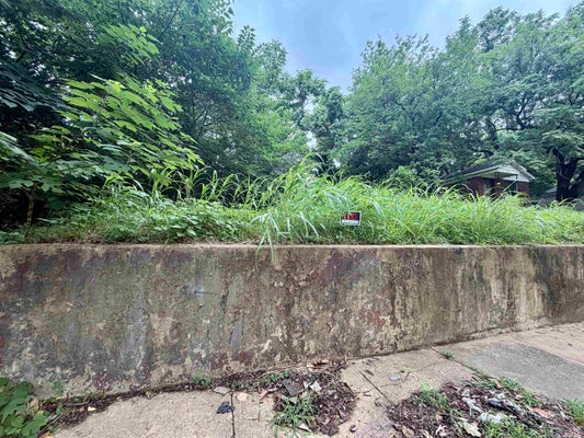 1511 PATTON ST, MEMPHIS, TN 38106 - Image 7b04137cfc2cebf7eab74ca09038ed5a/3614743628