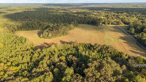 7705 PEA VINE RD Middleton TN 38052