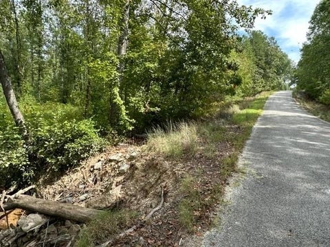 Photo of TRACT 6 BUTLER RD, Pinson, TN 38366 (MLS # 10232238)