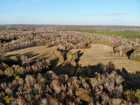 Photo of 349 POWELL CHAPEL RD, Hornsby, TN 38044 (MLS # 10233339)