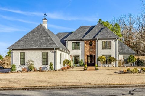 Photo of 438 GREYWOOD LN, Cordova, TN 38018 (MLS # 10213544)