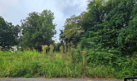 Photo of 265 E ALSTON AVE, Memphis, TN 38126 (MLS # 10229171)