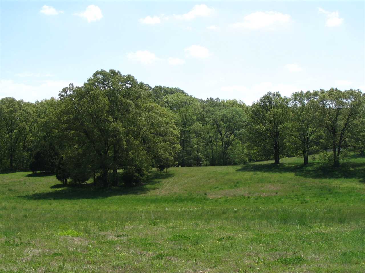 Photo 1 of 6 — 55 ASTOR CT, Unincorporated, TN 38002