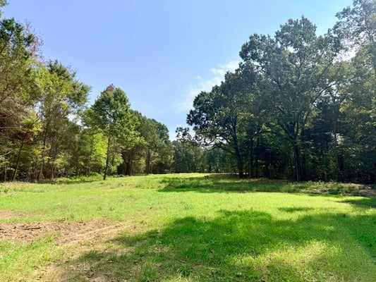 10 ANTWINE RD, GADSDEN, TN 38337 - Image 7e1d50a10bfe71426f201c7f1cc2ed5e/1738177419