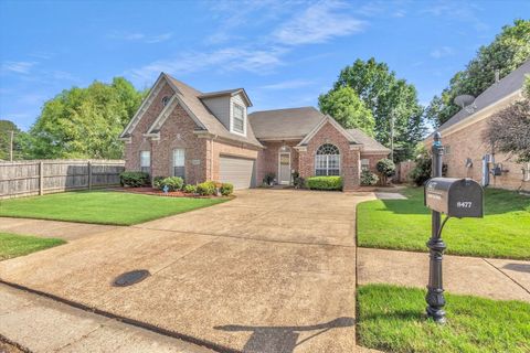 Photo of 8477 SHADY ELM DR, Cordova, TN 38018 (MLS # 10220265)