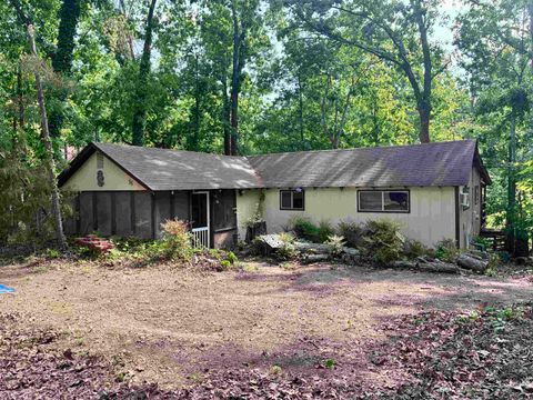 Photo of 35 JAYBIRD WAY, Counce, TN 38326 (MLS # 10220095)