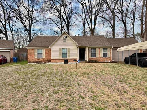 Photo of 4428 WILLOW SPRINGS CV, Millington, TN 38053 (MLS # 10216116)