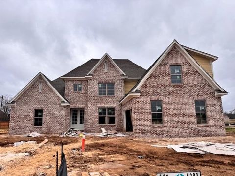 Photo of 5301 THUNDER BOLT CV, Lakeland, TN 38002 (MLS # 10212373)