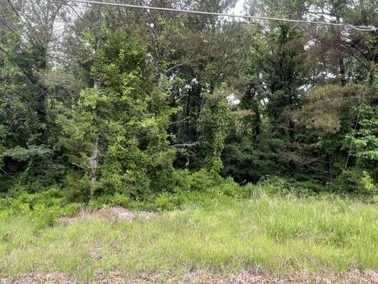 BURNETT MILLS RD, BOLIVAR, TN 38008 - Image 86b2ff6ae1ba8b8fffcc3008de65211f/2798704292