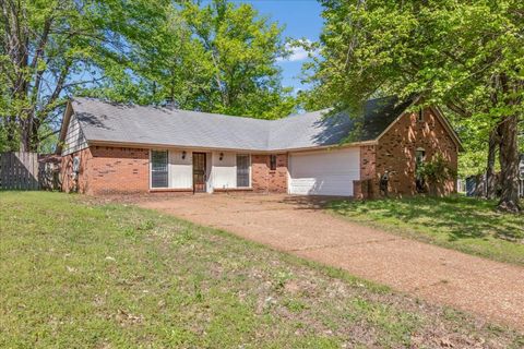 Photo of 4417 E HUNTERS GLEN ST, Unicorp/Memphis, TN 38128 (MLS # 10219161)