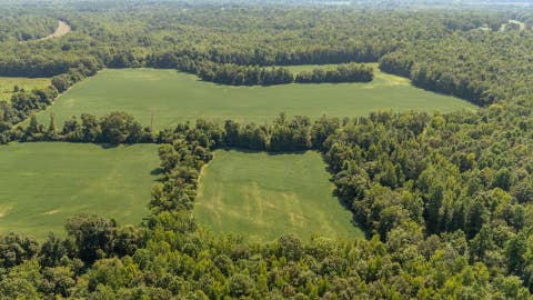 Photo of 2395 POCAHONTAS RD, Pocahontas, TN 38061 (MLS # 10218873)
