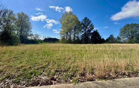 Photo of 060 YORK CMNS ST, Ripley, TN 38063 (MLS # 10223027)