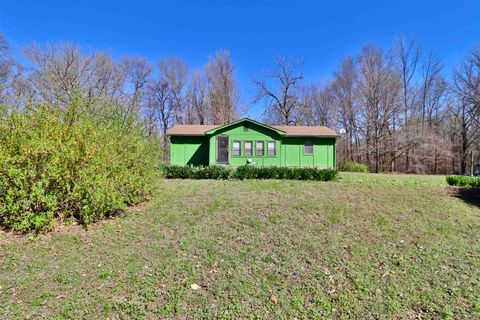 Photo of 528 OLD FULTON RD, Henning, TN 38041 (MLS # 10216617)