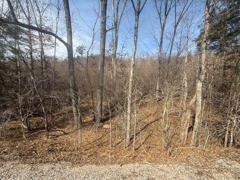 Photo of TRACT 3 HWY 128 HWY, Clifton, TN 38425 (MLS # 10227314)