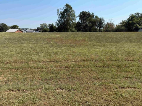 Photo of 23, 24 TENNESSEE RIVER LN, Savannah, TN 38372 (MLS # 10232111)