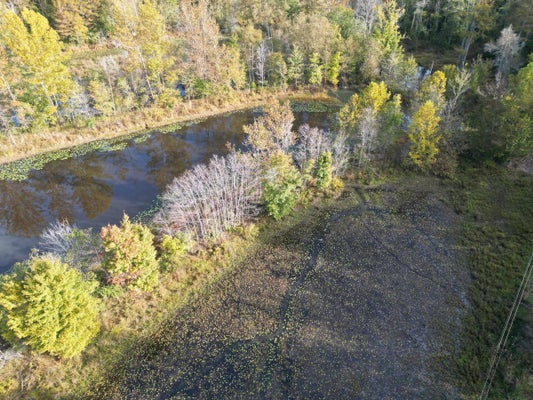 TRACT 6 OVERTON LOOP, MEDON, TN 38356 - Image 8b5ecdaed509b6274ecc553aaa988aa2/4046982945