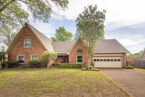 Single Family Residence in Memphis TN 810 CEDAR BRAKE DR.jpg