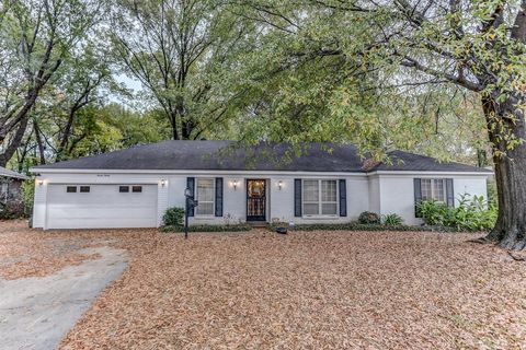 Featured picture for the property 10161539